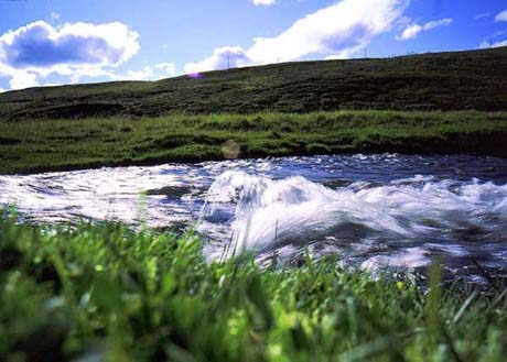 River_and_green