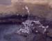Hot_Spring